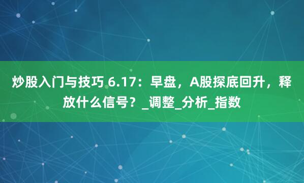 炒股入门与技巧 6.17：早盘，A股探底回升，释放什么信号？_调整_分析_指数